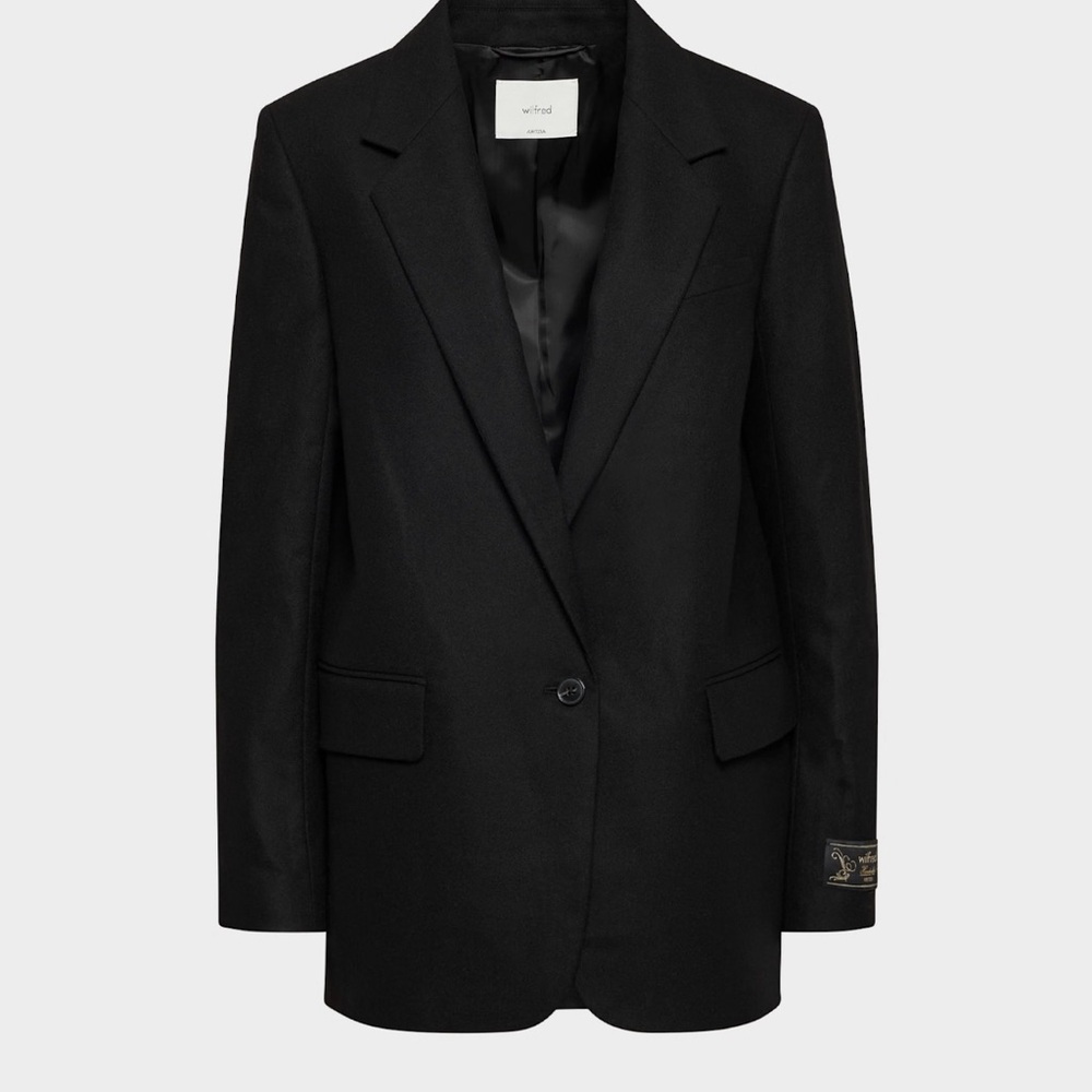 Aritzia Generation Blazer
